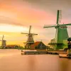 Image of Chocolate Tours