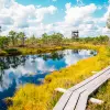 Image of Eco Tours