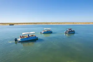 Tour image of Ilha Deserta and Farol Island: a small group boat trip in Ria Formosa from Faro