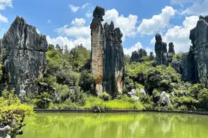 Tour image of Stone Forest + Yiliang Roast Duck + Kunming City Private Tour