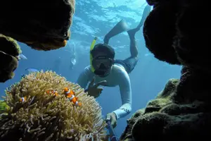 Tour image of Khao Lak/Phuket: Wow Andaman Snorkeling Trip to Surin Islands