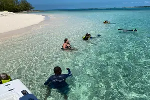 Tour image of Bluefinn242 Swim with the Turtles in Nassau Bahamas