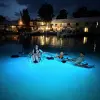 Image of Glass Bottom Boat Tours