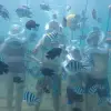 Image of Snorkeling