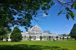 Tour image of Explore Gothenburg’s Art and Culture with a Local