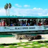 Image of Eco Tours