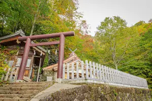Tour image of Nagano All Must-Sees 4hr Private Tour with Licensed Guide
