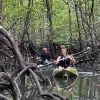 Image of Wildlife Watching