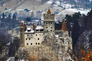 Tour image of Brasov: Bear Sanctuary, Bran Castle & Rasnov Fortress GUIDED Tour