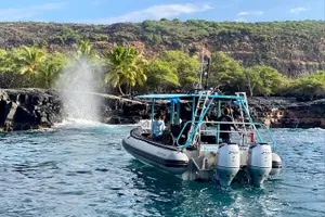 Tour image of Premium Kona Coast Morning Snorkel