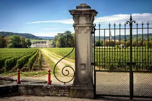Tour image of Côte de Nuits Half Day Wine Tour from Dijon