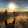Image of Horseback Riding