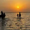 Image of Horseback Riding