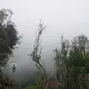 Image of Ziplining