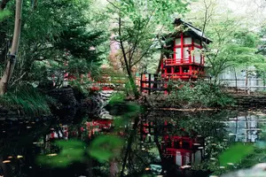 Tour image of 1-Day Private Tour from Chitose/Sapporo to Wherever you wanna go!