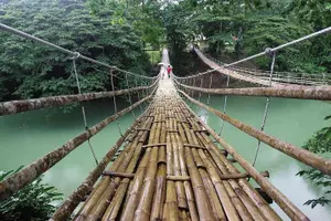 Tour image of Bohol Tour with Bike Zip Adventure