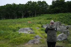 Tour image of 3hours Primeval Forest and Stunning Views of Cliff Trekking Tour