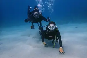 Tour image of Discover Scuba Diving in Yakushima! - Standard Course / 1 Dive