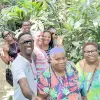 Image of Outback Tours