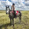 Image of Horse Racing