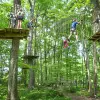 Image of Obstacle Courses