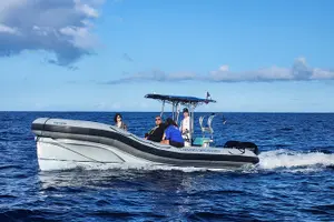 Tour image of Snorkel Tour to Captain Cook Monument Kailua-Kona, Big Island