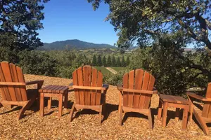 Tour image of Napa and Sonoma Private Transportation