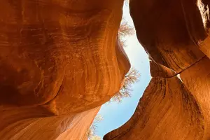 Tour image of Adventurous Canyoneering Slot Canyon (Small Group)