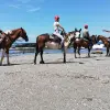 Image of Pack Animal Tours
