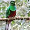 Image of Nature and Wildlife Tours