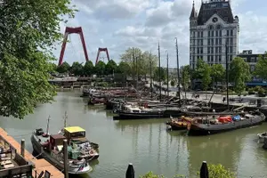 Tour image of Private Tour of The Hague, Delft and Rotterdam with Lunch