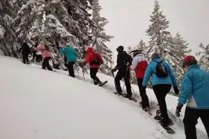 Tour image of Snowshoeing in Chamonix, with a private guide