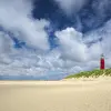 Image of Eco Tours