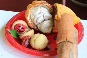 Tour image of Grenada Express Tour - Annandale, Fort Fredrick, Rum Distillery & Beach Tour