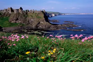 Tour image of Dublin to Belfast Black Cab, Dunluce Castle and Giant's Causeway