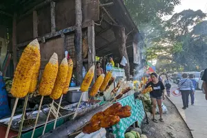 Tour image of Cebu City with Sirao Garden Half Day Tour