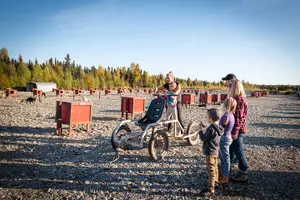 Tour image of Mush Your Own Sled Dog Team (Summer/Fall Tour)