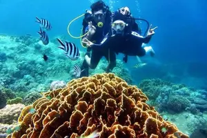 Tour image of Scuba Diving Experience in Nha Trang Bay