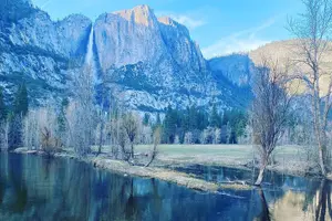 Tour image of Semi Private Yosemite Valley Tour with Hotel Pick Up and Lunch