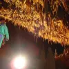 Image of Caving