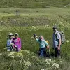 Image of Hiking Tours