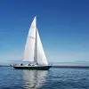 Image of Sailing