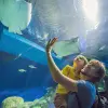 Image of Aquariums