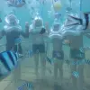 Image of Scuba Diving
