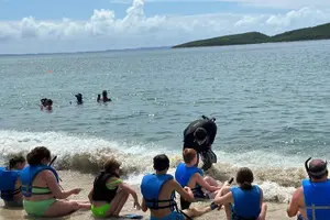 Tour image of Coral Reef and Sea Turtle Snorkeling Experience