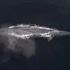 Image of Nature and Wildlife Tours