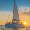 Image of Sightseeing Cruises