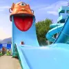 Image of Amusement Parks