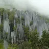 Image of Hiking Tours