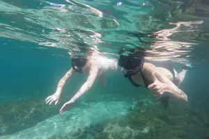 Tour image of Ocean Kayak and Snorkeling